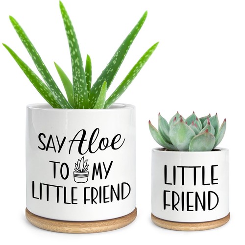 Cgvovgr say aloe little - cgvovgr,