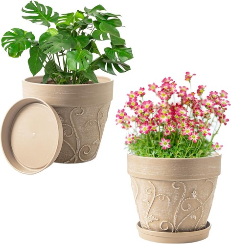 Plant pots indoor with - plant,