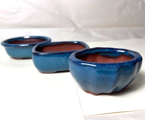 Mini bonsai cactus ceramic - bonsai,, cactus,