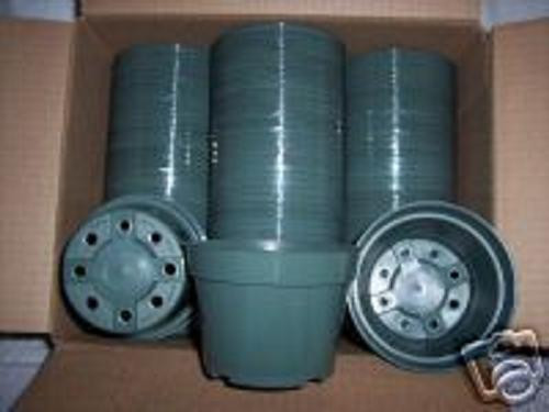 Azalea green new - 4",